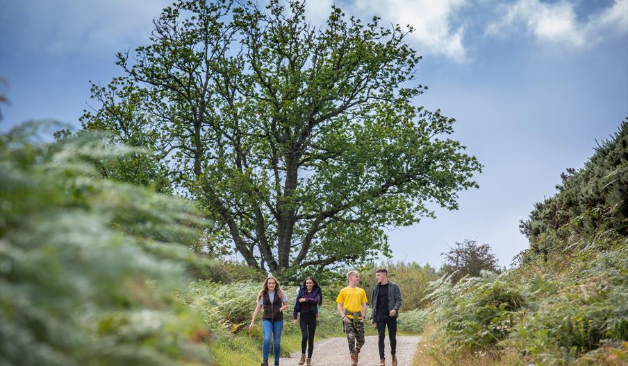 Castle Howard Walk