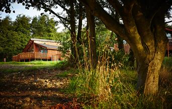Cropton Cabins - Forest Holidays