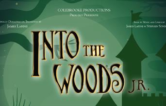 Into The Woods JR.