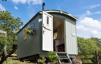 An image of Rosedale Light Shepherds Hut