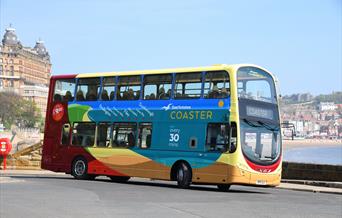 Coaster Buses