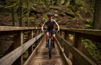 Dalby Forest Cycle Hub