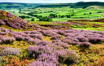 An image of North York Moors