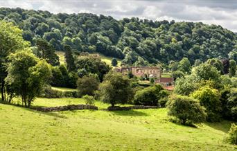 An image of a view of Rievaulx Abbey from afar