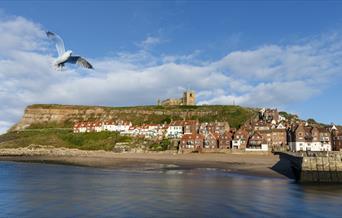 An image of Whitby Harbour