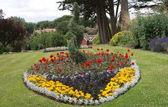 An image of flower beds at Pannett Park