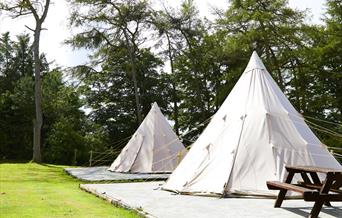 An image of glamping at Pinewood Holiday Park