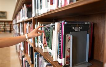 An image of books on a shelf