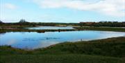 Burton Riggs Nature Reserve