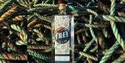 An image of Filey Gin