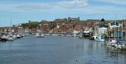 An image of the view at Whitehall Landing Apartment - Owners Cottages