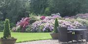An image of the gardens at Wrea Head Hall Hotel, Scarborough