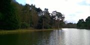An image of the mere