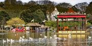 Peasholm Park