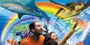 An image of SEA LIFE Scarborough