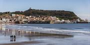 image of south bay beach