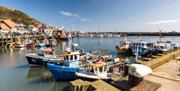 image of south bay harbour