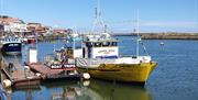 Whitby Coastal Cruises