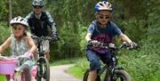 Dalby Forest Loop Cycle Route