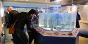 An image of inside the Old Coastguards Station Visitor Centre with people looking at the display