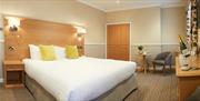 An image of The Palm Court Hotel - Bedroom