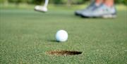 Image of a man putting a golf ball