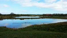 Burton Riggs Nature Reserve