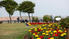 filey crescent gardens