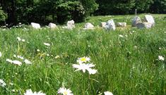 An image of Falsgrave Park