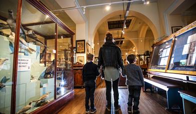Whitby Museum