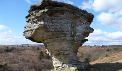 Bridestones Moor, National Trust, credit Zoe Frank
