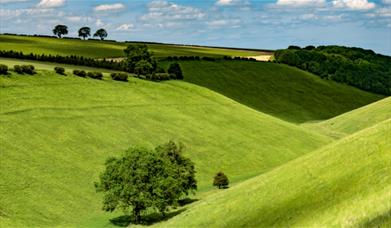 An image of Yorkshire Wolds