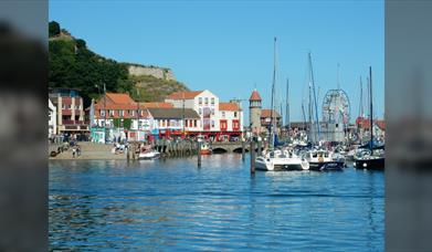 Curious About Scarborough