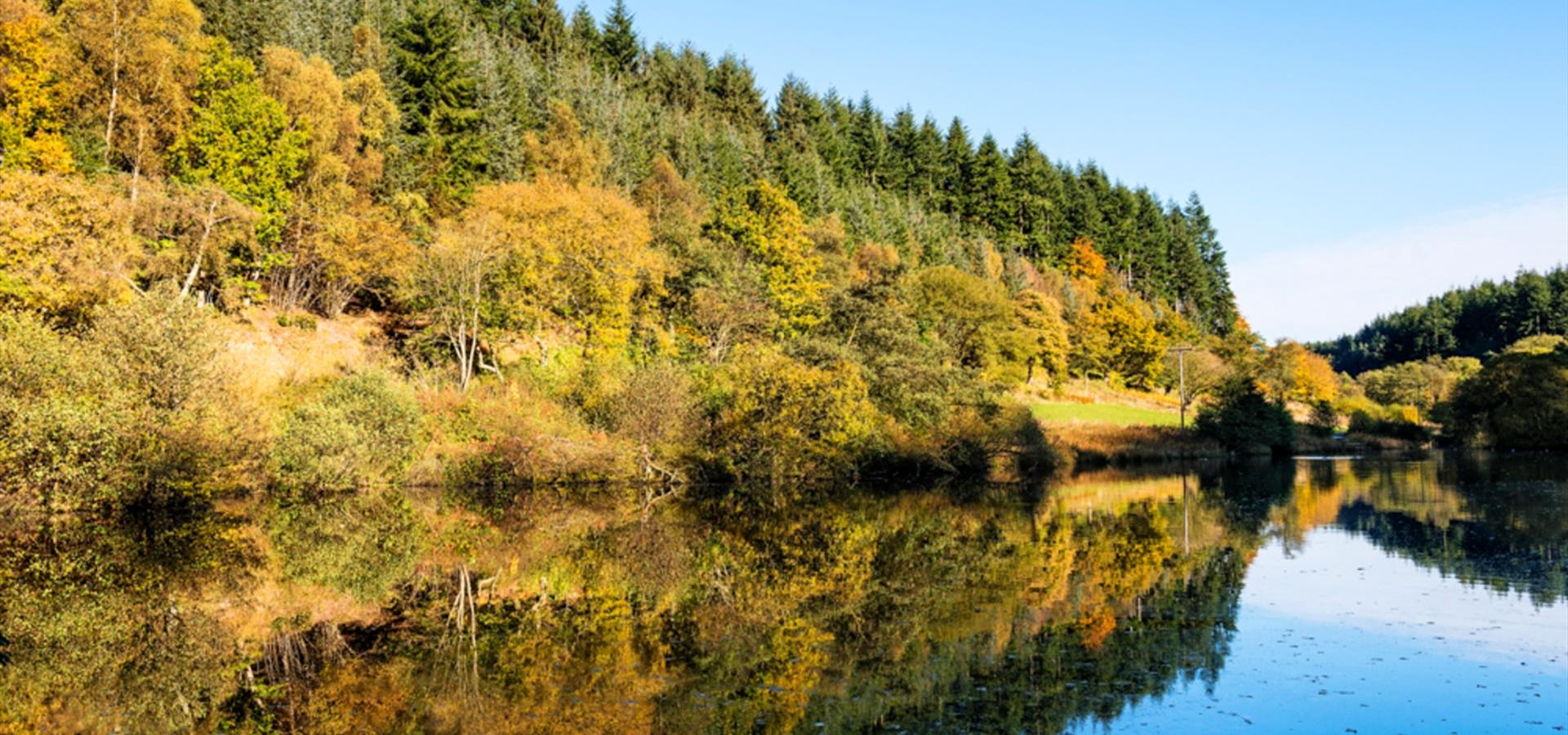 An image of Dalby Forest and water reflection by Richard Burdon