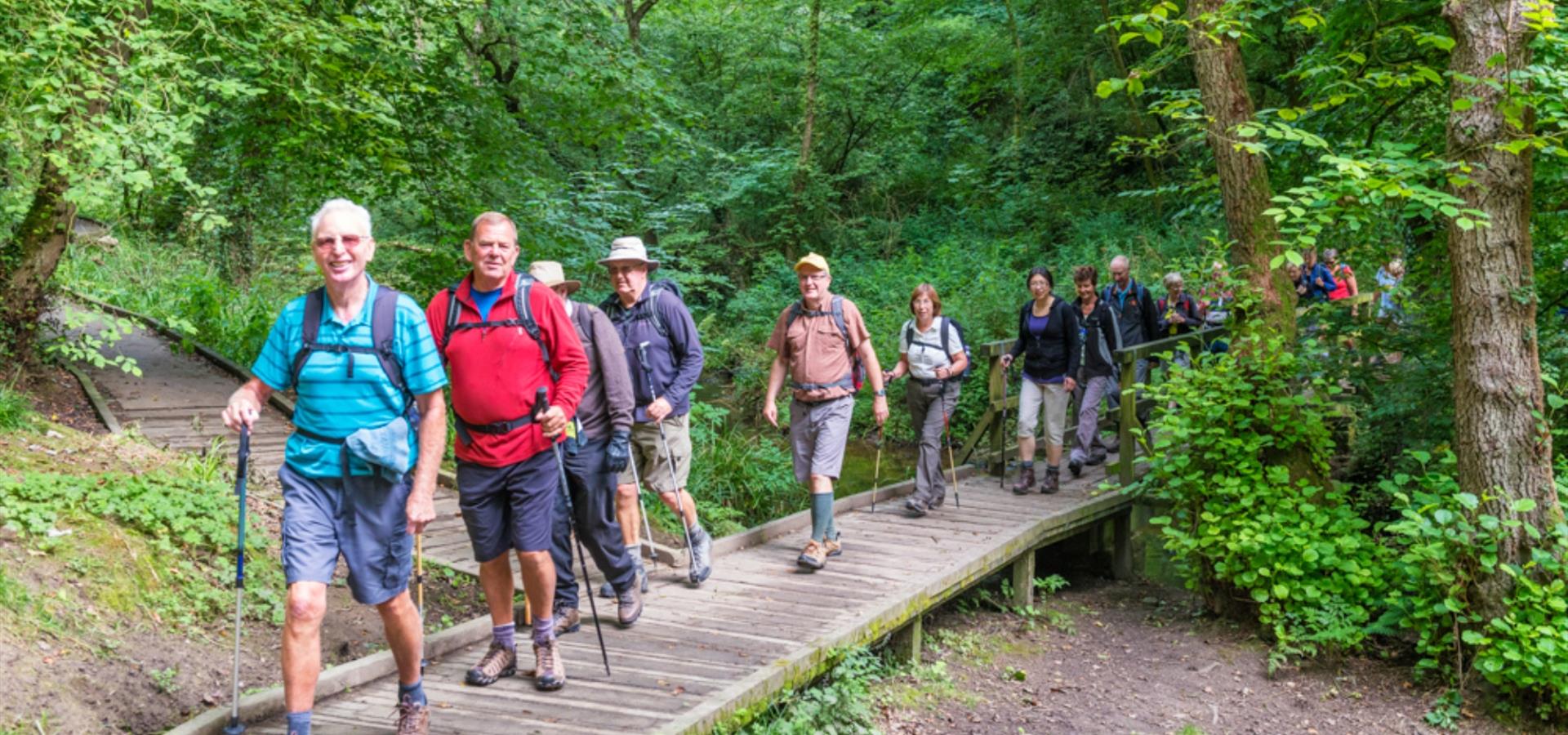 An image of walkers in Forge Valley by Richard Burdon