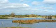 An image of Filey Dams Nature Reserve