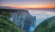 An image of RSPB Bempton Cliffs. Image by George Stoyle