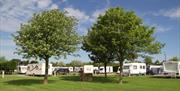 An image of Lebberston Touring Park