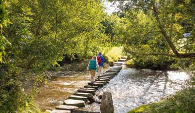 An image of a couple walking across a stream over stones.