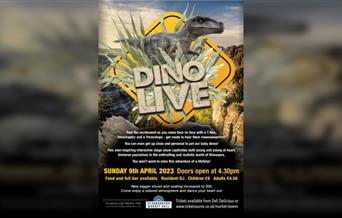 Dino Live!