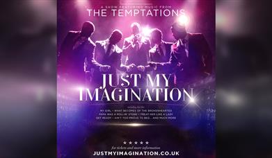 Just My Imagination: A Tribute To The Temptations