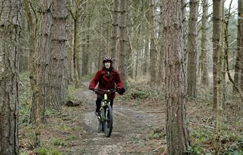 Cycle Trails in Dalby Forest