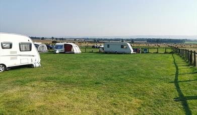 An image of the camping field at Betton Farm 
