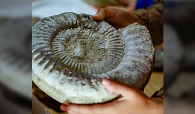 Fossil Handling with the Rotunda Geology Group