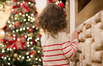 Brown haired child looking at decorated Christmas tree