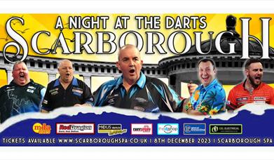 An image of the A Night at the Darts poster