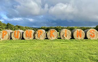 An image of hay bales at Beacon Farms pumpkin patch