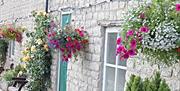 An image of some hanging baskets at Beech Farm Cottages