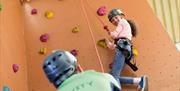 An image of a climbing wall at Blue Dolphin Holiday Park