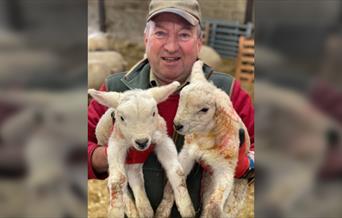 Lambing Sundays with Farmer Percy